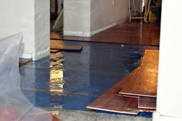Professional Basement Water Removal technician working in Sherman, MS